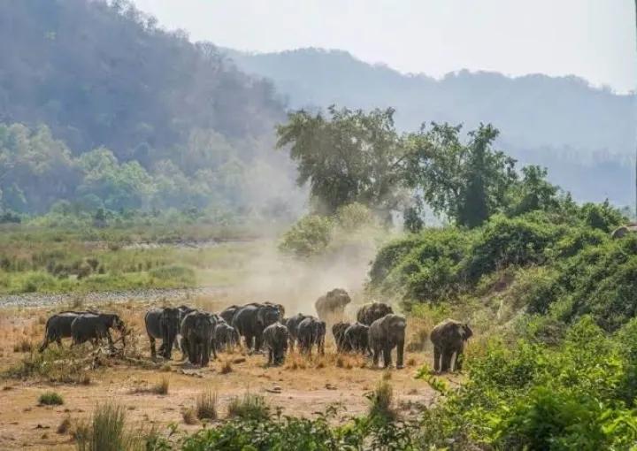 Ramnagar gateway to Jim Corbett
