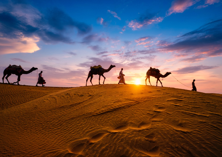 Sam Sand Dunes Jaisalmer
